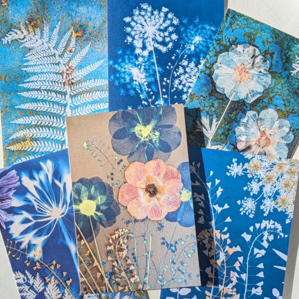 CARTES POSTALES, carte de voeux, CYANOTYPE, botanique, plante, fleurs, courrier, lettre, nature, herbier