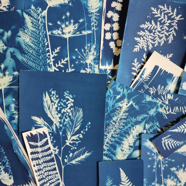 Les papiers bleus