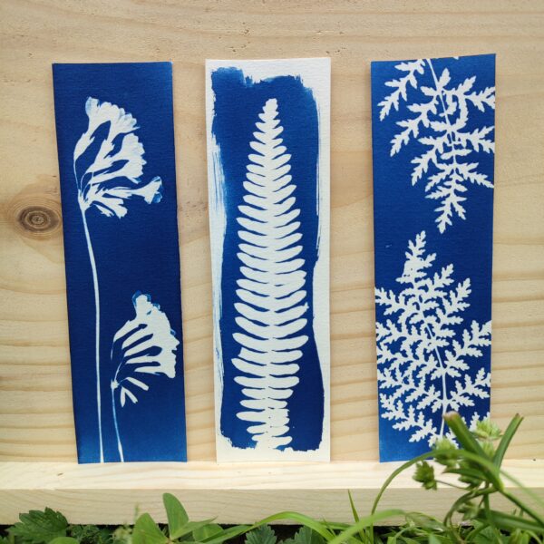 marque-pages cyanotype uniques primevere polipode phacelie art photographique