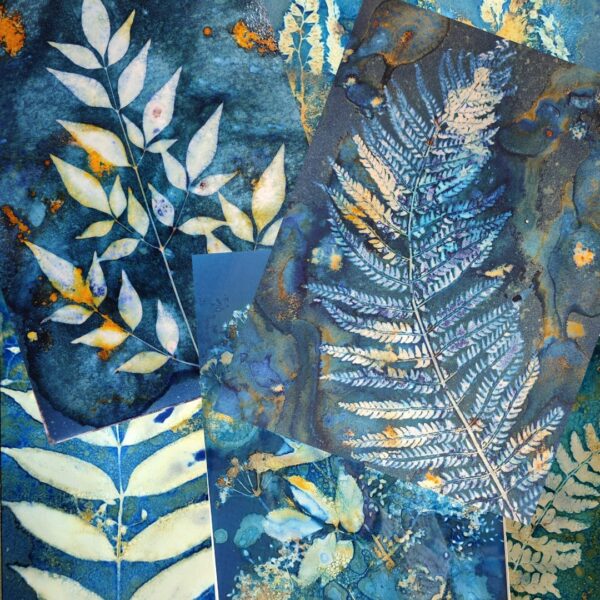Les wet cyanotypes