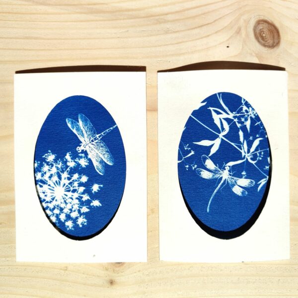CARTE POSTALE CYANOTYPE LIBELLULE PLANTE ARTISANAL