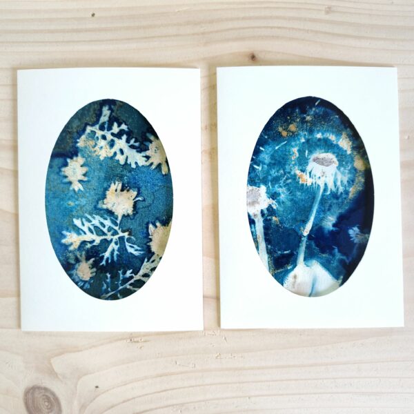 CARTE POSTALE WET CYANOTYPE PISSENLIT SENECON MADE IN FRANCE