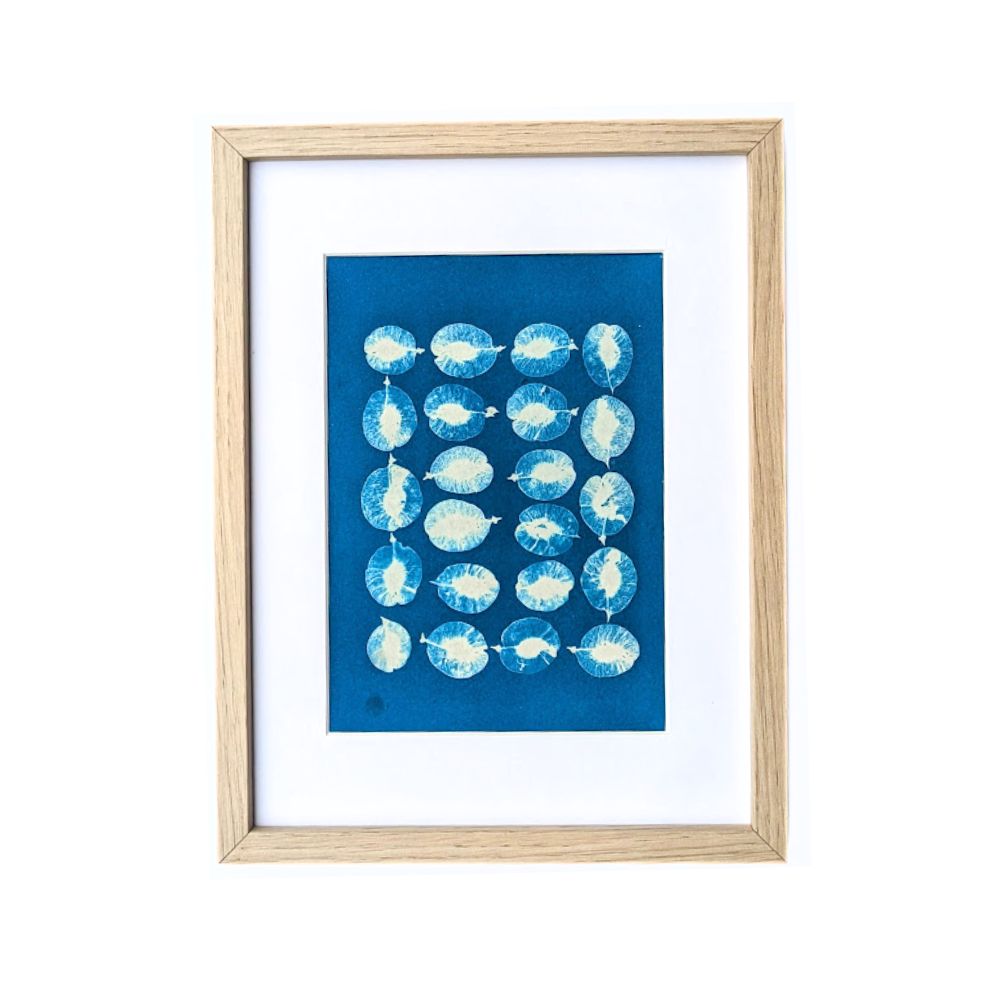 CYANOTYPE VEGETAL GRAINES ORME SAMARES CADRE DESIGN ARTISTE FRANCE