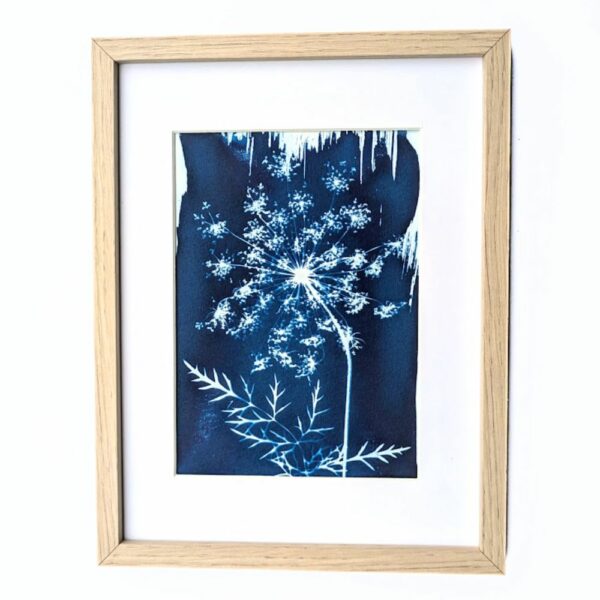 CYANOTYPE VEGETAL CAROTTE SAUVAGE CADRE DESIGN ARTISTE FRANCE