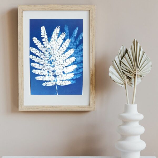 AFFICHE VEGETALE CYANOTYPE FEUILLE ALBIZIA FRANCE