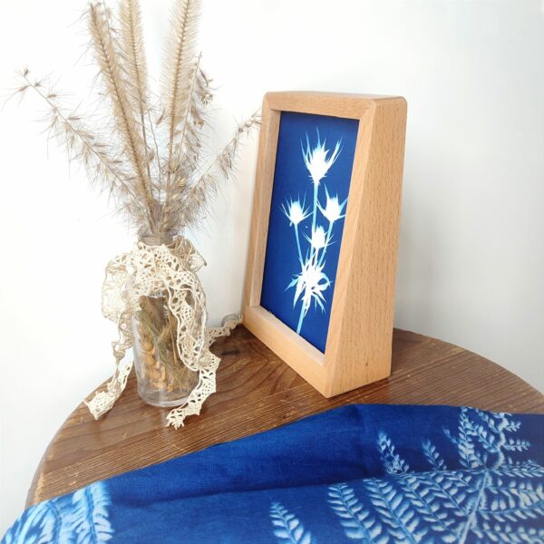 Cyanotype "Faux chardon, Panicaut champêtre" – Image 2