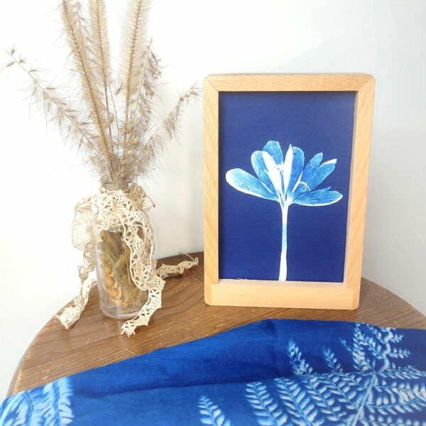 CADRE CYANOTYPE DESIGN UNIQUE FLEUR COLCHIQUE