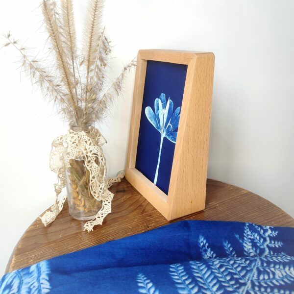 Cyanotype "colchique" – Image 2