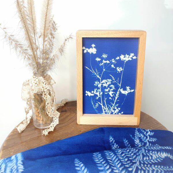 CADRE CYANOTYPE DESIGN UNIQUE FLEUR OMBELLES
