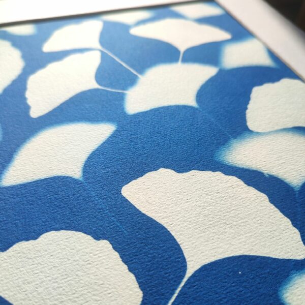 Cyanotype "Gingko biloba" – Image 2