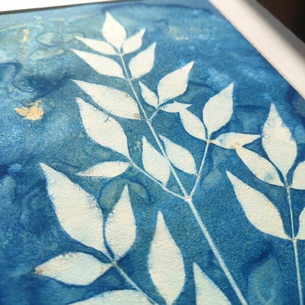 Wet cyanotype "Bambou sacré" – Image 2