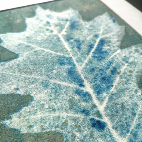 Wet cyanotype "Feuille de chêne" – Image 2