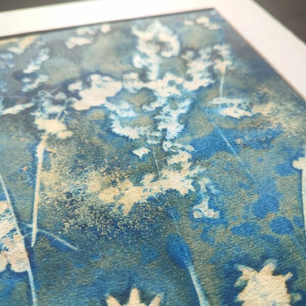Wet cyanotype "Graminée et Séneçon" – Image 2