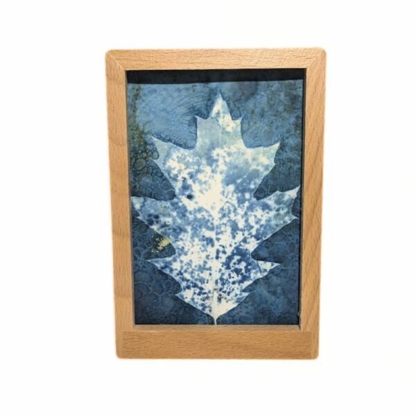 WET CYANOTYPE FEUILLE DE CHENE CADRE DECO UNIQUE FRANCE