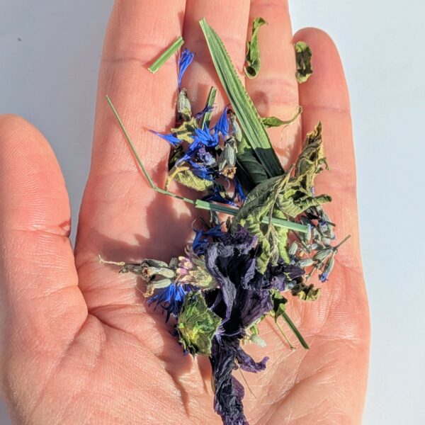 COFFRET TISANE CYANOTYPE – Image 2