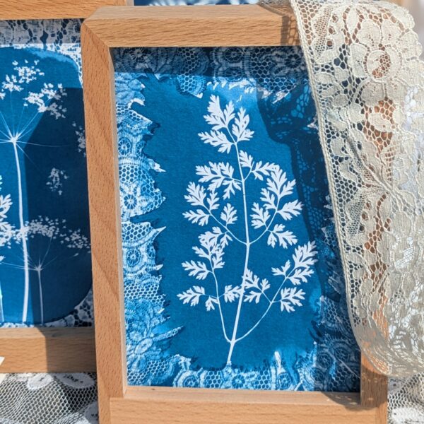 TABLEAU CYANOTYPE CAROTTE DENTELLE DECORATION FRANCE
