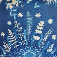 cadre cyanotype papier plantes et tissu